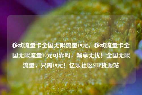 移动流量卡全国无限流量19元，移动流量卡全国无限流量19元可靠吗	，畅享无忧！全国无限流量，只需19元！亿乐社区SUP货源站  第1张